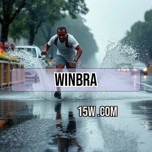 winbra Segurança